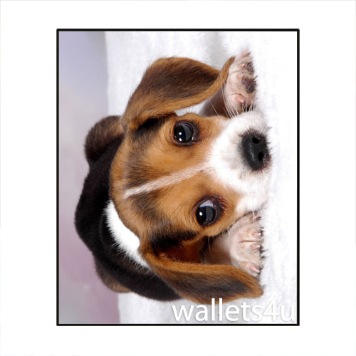 Magic Wallet, Dog, Brown/Black - MWAP0083