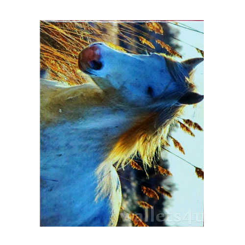 Magic Wallet, Horse, White - MWAP0101