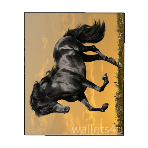 Magic Wallet, Horse, Black, Galloping - MWAP0098