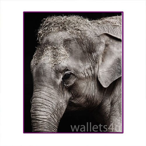 Magic Wallet, Elephant - MWAP0091