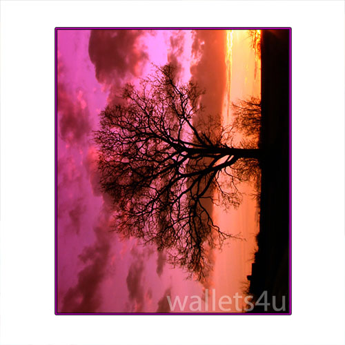 Magic Wallet, Sky Sunset Nature - MWFWP 0160