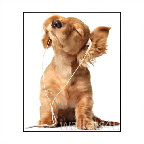 Magic Wallet, Dog with Headphone - MWAP0079
