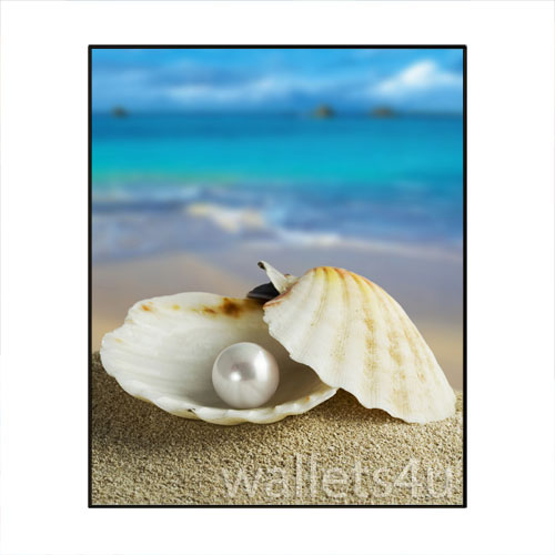 Magic Wallet, Shell, Pearl - MWAP0105
